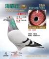 图片暂时未上传