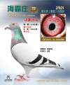 图片暂时未上传