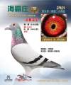 图片暂时未上传