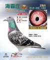 图片暂时未上传