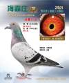 图片暂时未上传