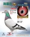 图片暂时未上传