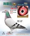 图片暂时未上传