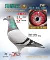 图片暂时未上传