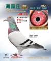图片暂时未上传