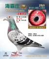 图片暂时未上传