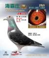 图片暂时未上传