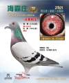 图片暂时未上传