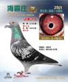图片暂时未上传