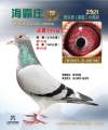 图片暂时未上传