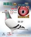 图片暂时未上传