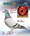 图片暂时未上传