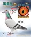图片暂时未上传