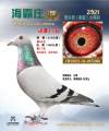 图片暂时未上传