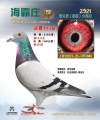 图片暂时未上传