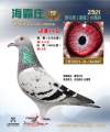 图片暂时未上传