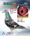 图片暂时未上传