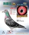图片暂时未上传