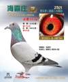 图片暂时未上传