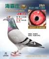 图片暂时未上传