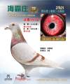 图片暂时未上传