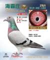 图片暂时未上传