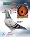 图片暂时未上传