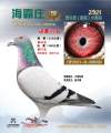 图片暂时未上传