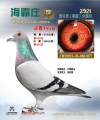 图片暂时未上传