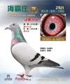 图片暂时未上传