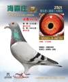 图片暂时未上传
