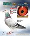 图片暂时未上传
