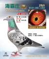 图片暂时未上传