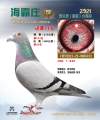 图片暂时未上传