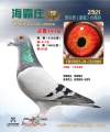 图片暂时未上传