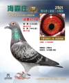 图片暂时未上传