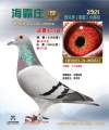 图片暂时未上传