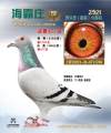 图片暂时未上传