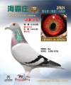 图片暂时未上传