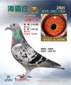 图片暂时未上传