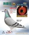 图片暂时未上传