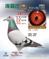 图片暂时未上传