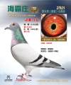 图片暂时未上传