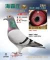 图片暂时未上传