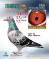 图片暂时未上传