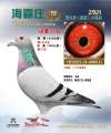 图片暂时未上传