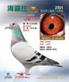 图片暂时未上传