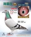 图片暂时未上传