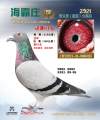 图片暂时未上传