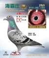 图片暂时未上传